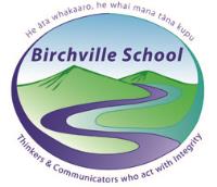 Birchville School