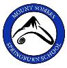 Mt Somers Springburn School