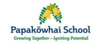 Papakowhai School