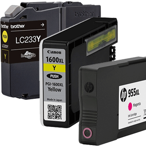 Printer Ink Cartridges