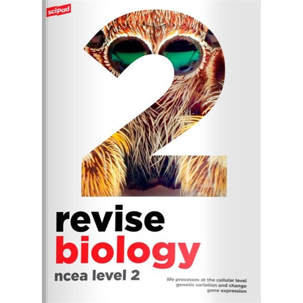 ncea level 2 nz no ordinary ncea level 2 nz no ordinary